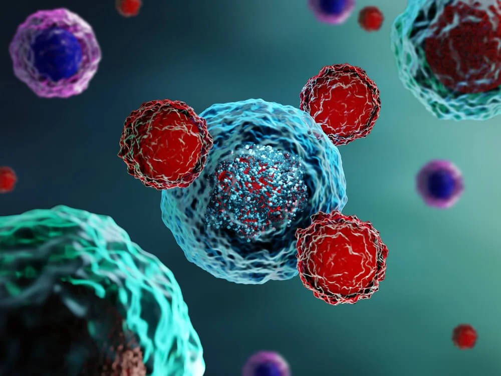 Immunotherapy Cancer Treatment in Jalandhar